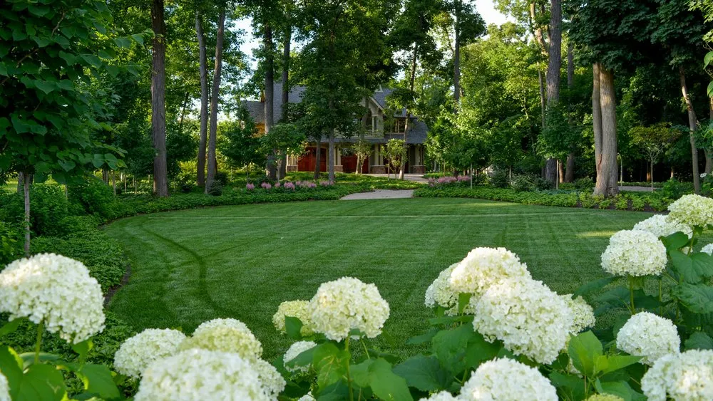 Top-rated landscape design experts serving Harlan, IN - Paragon Landscape