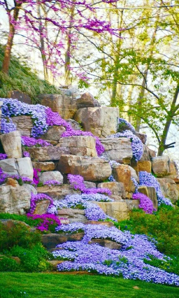 Custom landscaping services for homes in Harlan, IN by Paragon Landscape