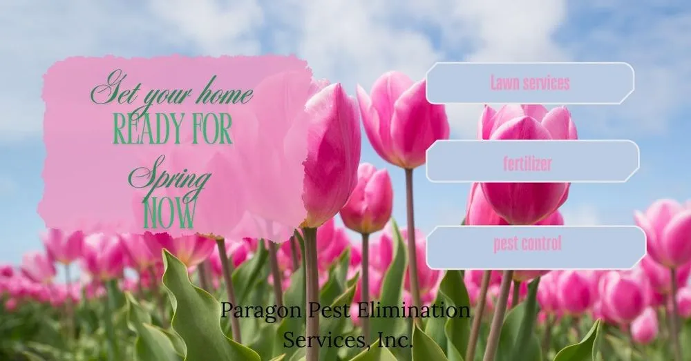 Top-rated lawn care service in Oklahoma City, OK - Paragon Pest Elimination Services