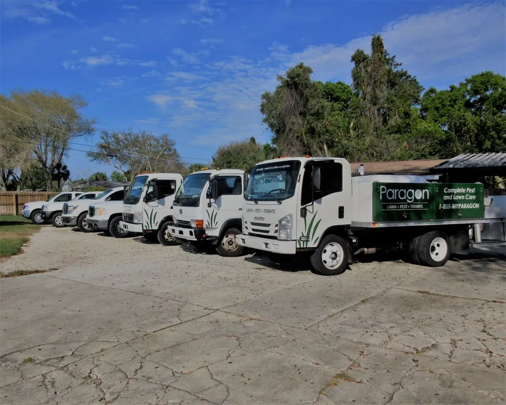 Expert outdoor landscaping in Melbourne, FL - Paragon Pest Solutions