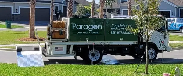 Paragon Pest Solutions Logo