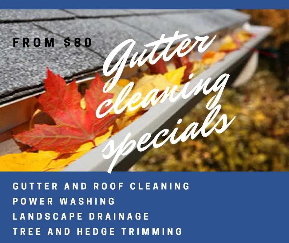 Professional outdoor landscaping in Montgomery, TX - Paragon Property Service