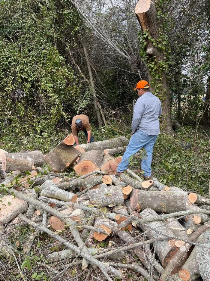 Professional landscaping services experts serving Windsor, SC - Paragon Property Worx