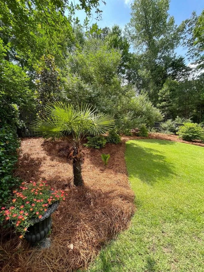 Local landscape installation with custom design across Windsor, SC - Paragon Property Worx