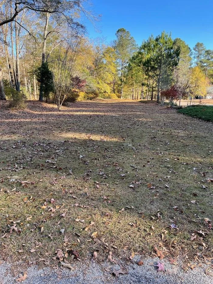 Top-rated lawn care service in Windsor, SC by Paragon Property Worx
