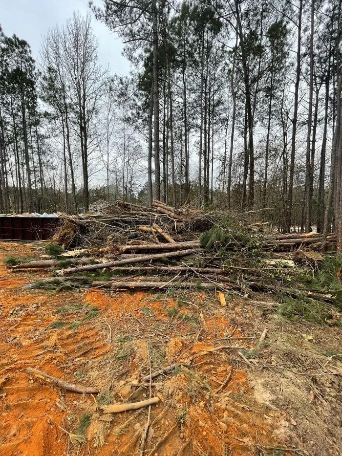 Top-rated landscaping services in Windsor, SC - Paragon Property Worx