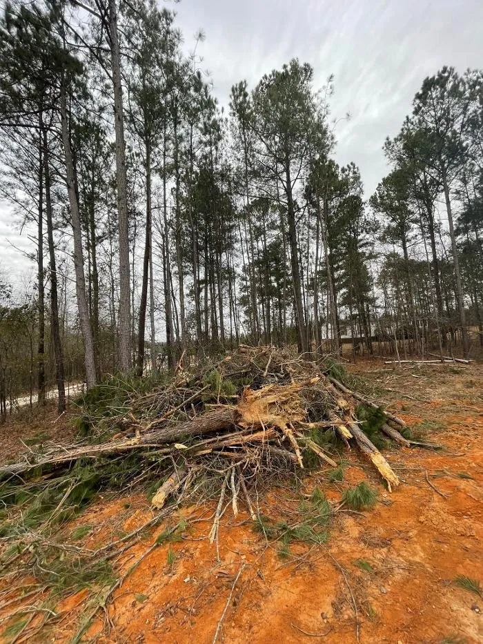 Affordable residential landscaping for outdoor upgrades across Windsor, SC - Paragon Property Worx