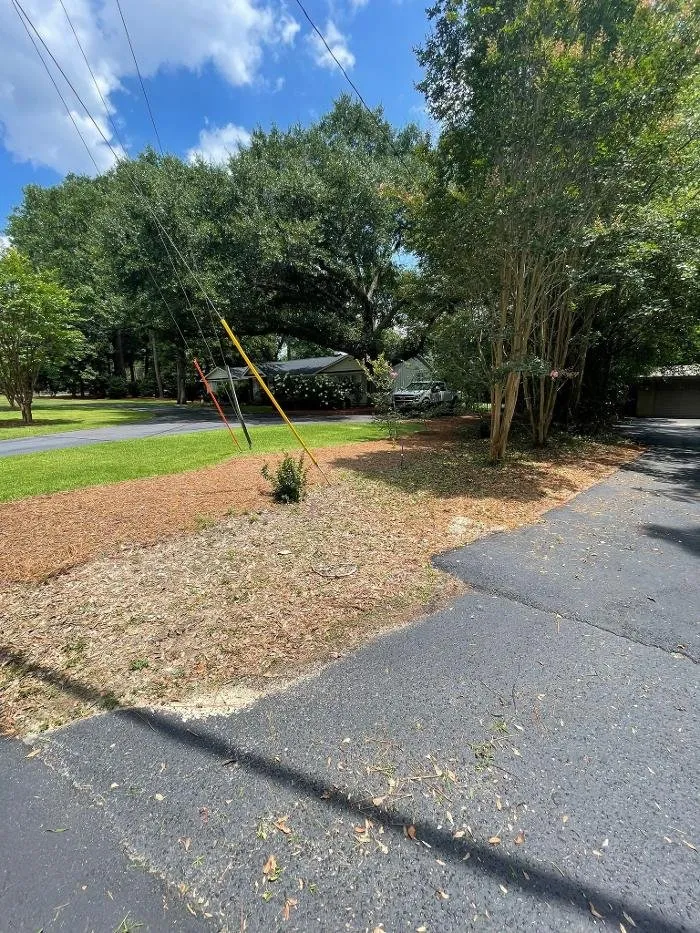 Custom landscape installation in Windsor, SC by Paragon Property Worx