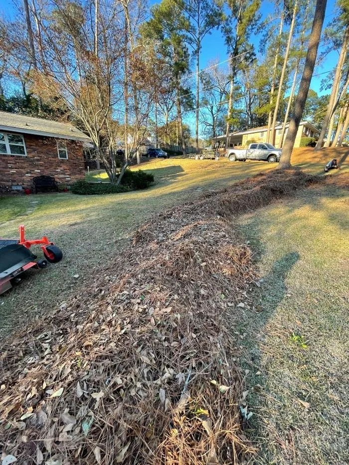 Local yard cleanup service with custom design across Windsor, SC - Paragon Property Worx
