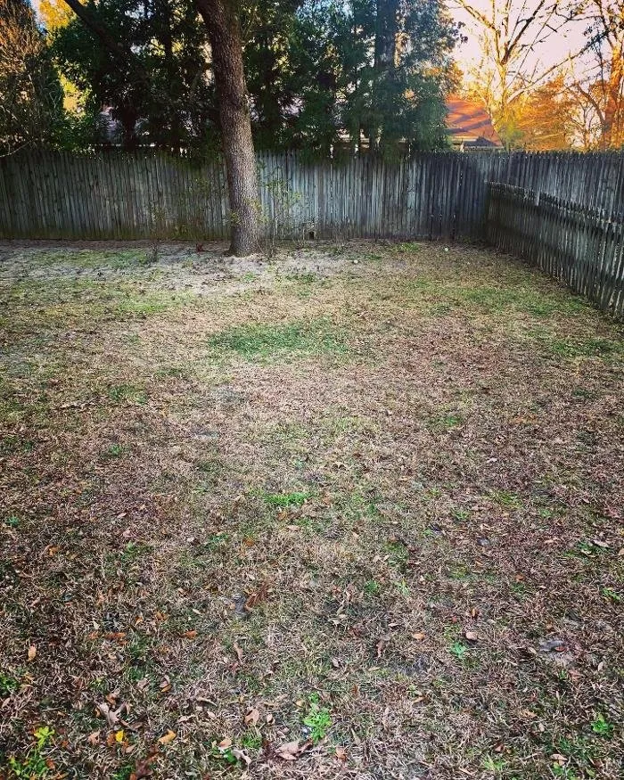 Affordable landscape installation in Windsor, SC - Paragon Property Worx