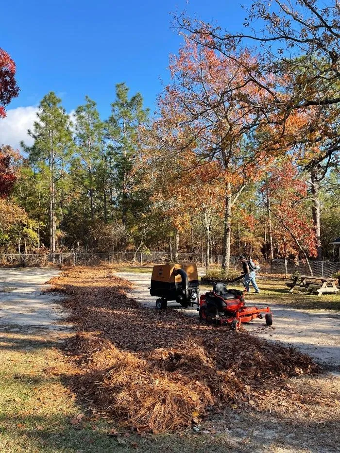 Expert outdoor landscaping in Windsor, SC - Paragon Property Worx