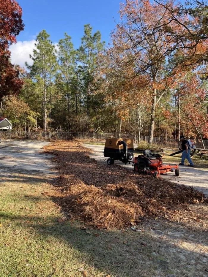 Affordable yard cleanup service experts serving Windsor, SC - Paragon Property Worx