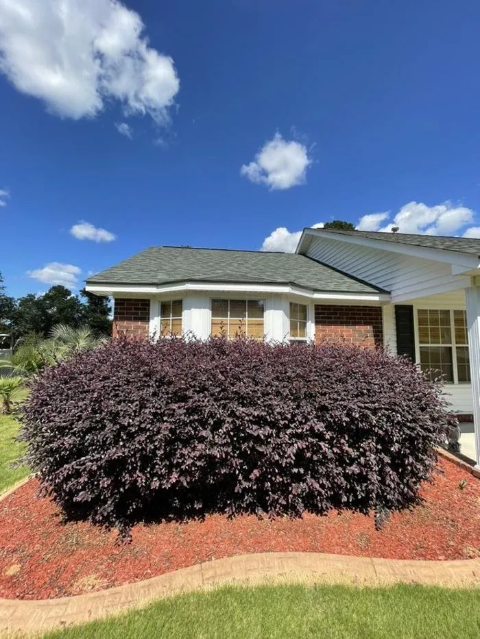Professional garden landscaping experts serving Windsor, SC - Paragon Property Worx