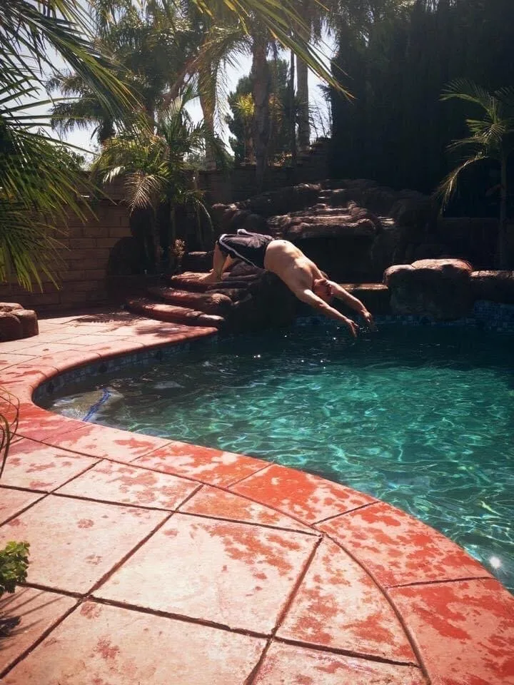 Affordable landscape design for year-round maintenance in Los Angeles, CA by Paraiso Pools and Landscape, Inc.