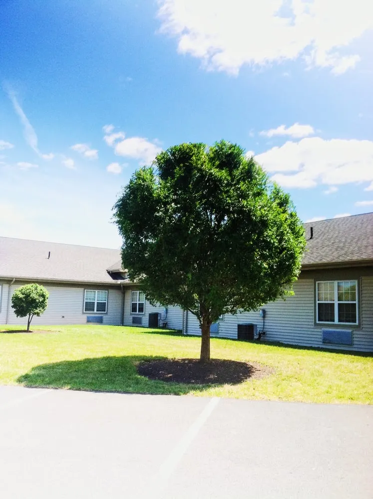 Reliable yard maintenance for beautiful yards across Scranton, PA - Paramo Landscaping