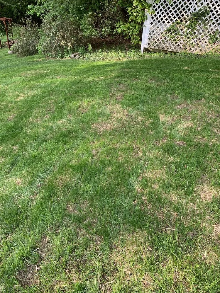 Custom residential landscaping in Scranton, PA by Paramo Landscaping