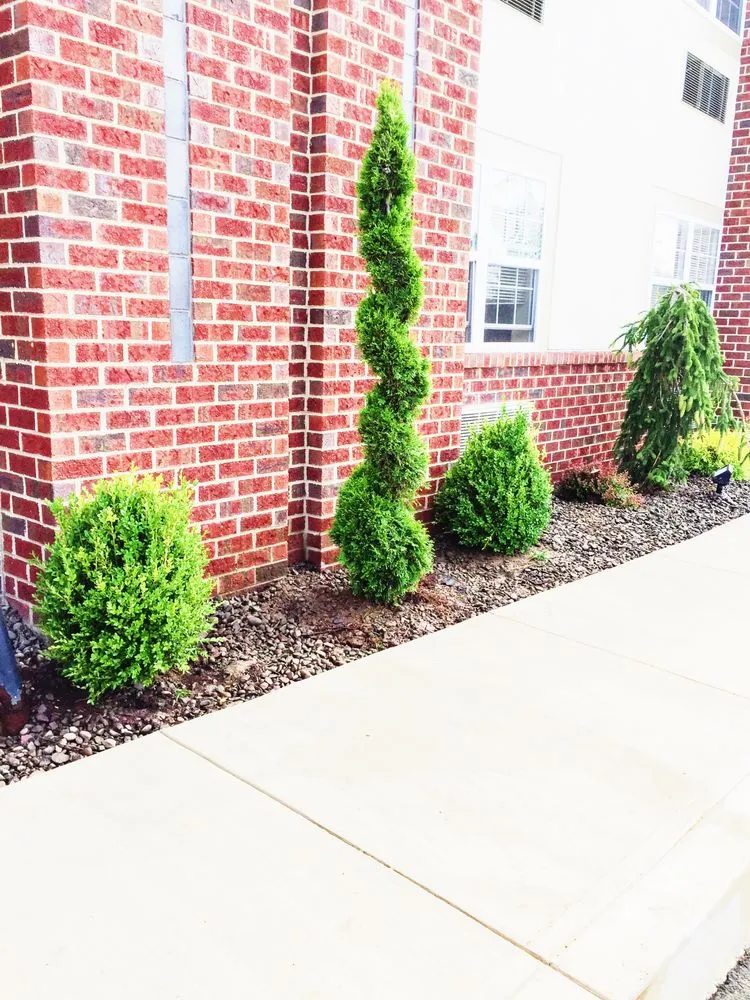 Affordable yard maintenance for beautiful yards across Scranton, PA - Paramo Landscaping