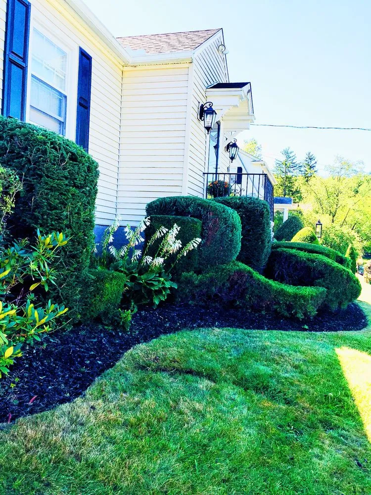 Local yard cleanup service experts serving Scranton, PA - Paramo Landscaping