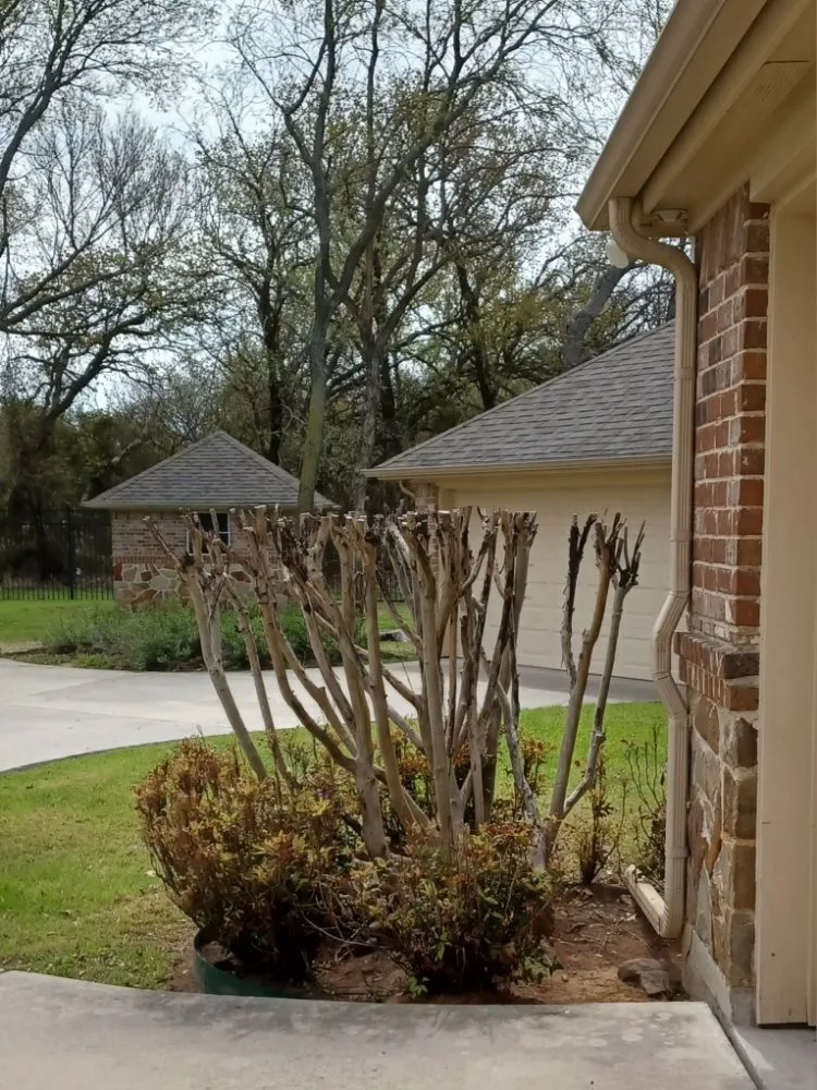 Local residential landscaping near you across Decatur, TX - Paramount Commercial Maintenance