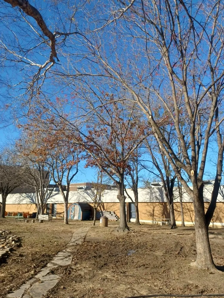 Affordable residential landscaping in Decatur, TX - Paramount Commercial Maintenance