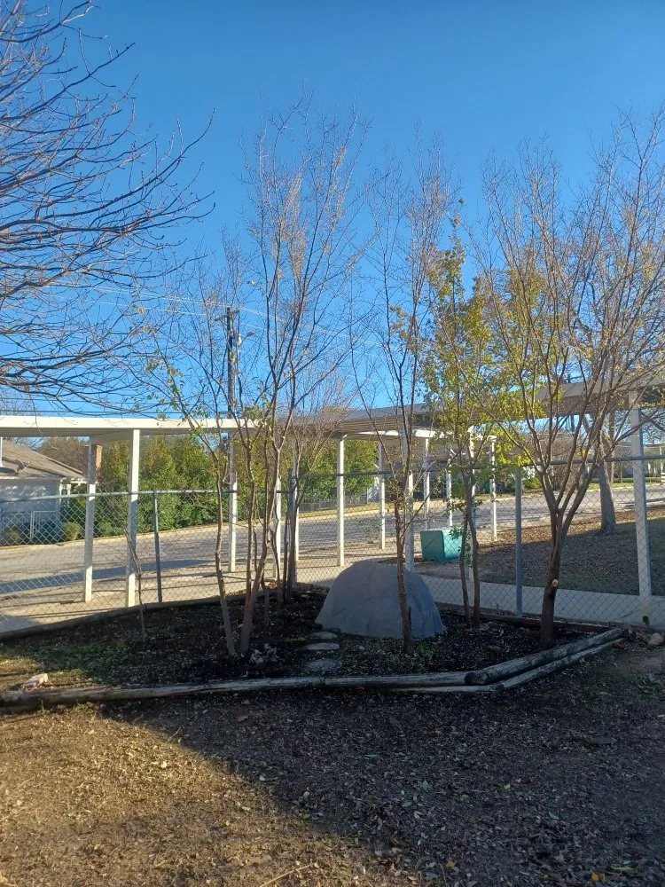 Custom landscaping services in Decatur, TX - Paramount Commercial Maintenance