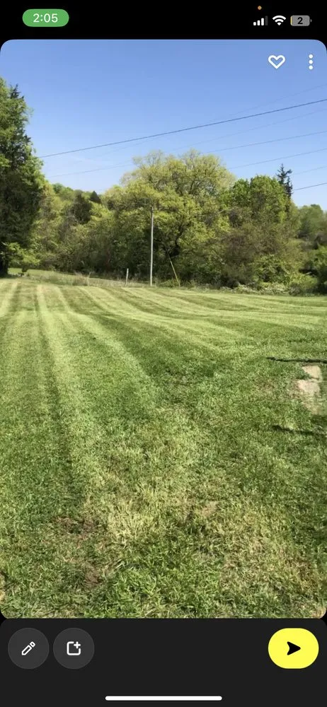 Local yard cleanup service in Lebanon, TN by Paramount Land Services