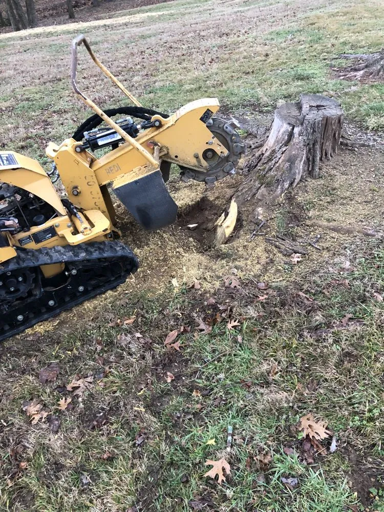 Professional landscape installation in Lebanon, TN by Paramount Land Services