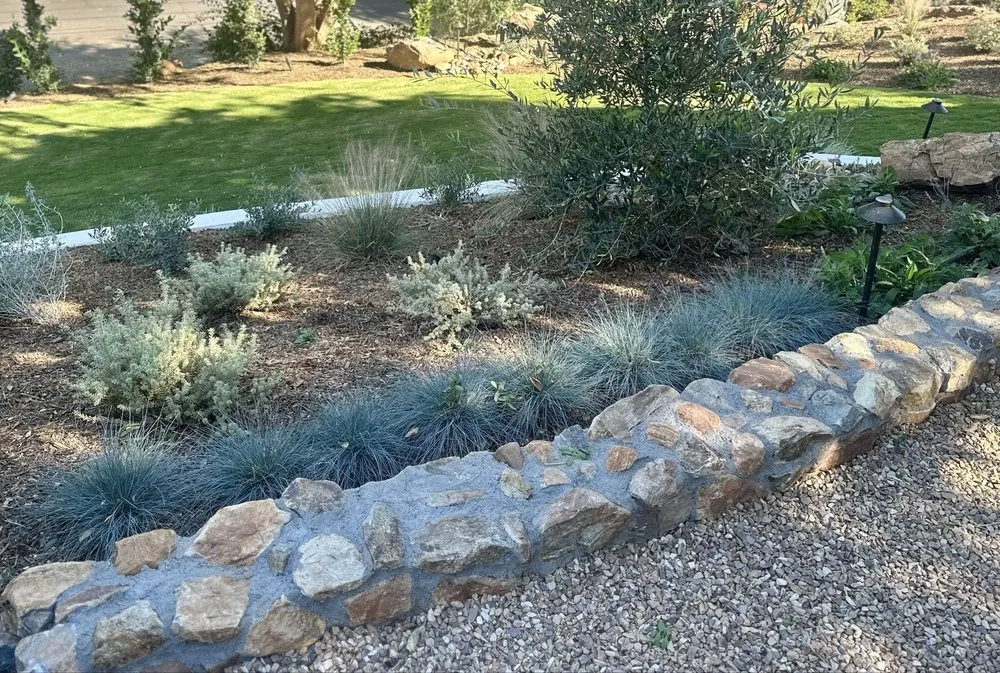 Local lawn care service for year-round maintenance in Riverside, CA by Paramount Landscape & Irrigation