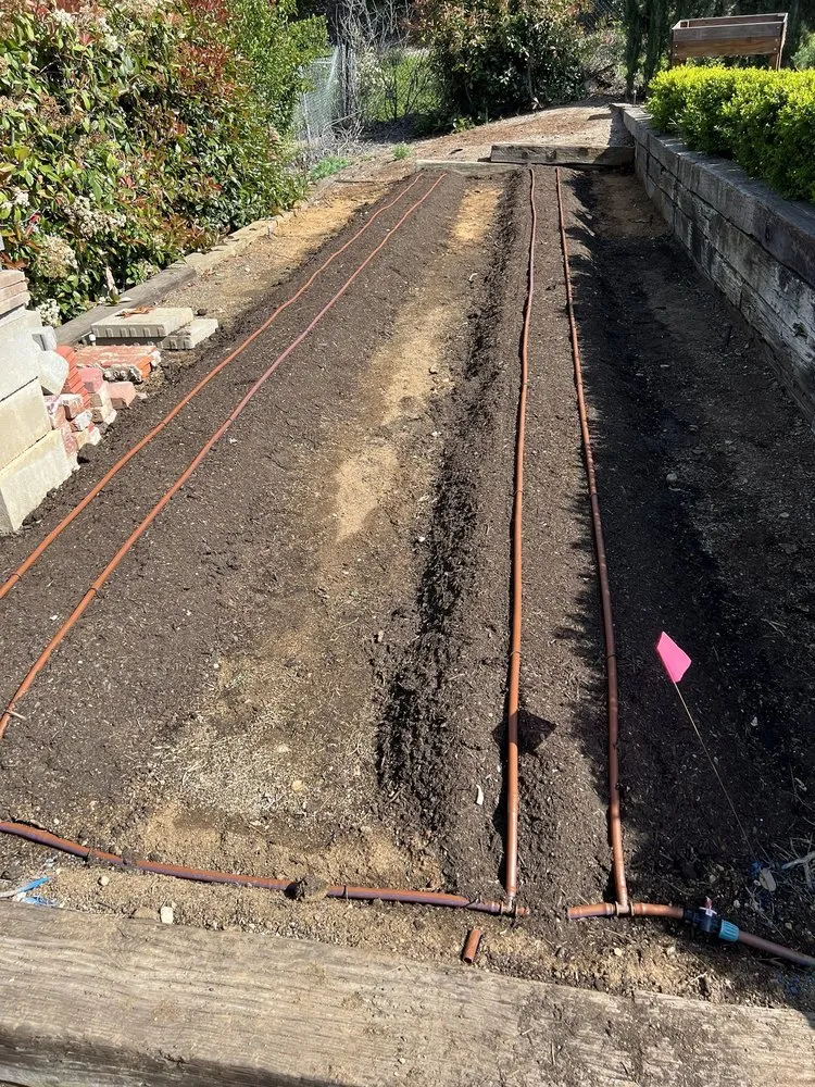 Trusted landscape design experts serving Riverside, CA - Paramount Landscape & Irrigation