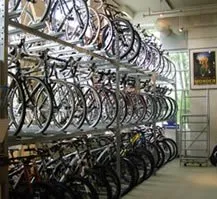 Reliable outdoor landscaping in Riverside, CA - Paramount Landscape & Irrigation