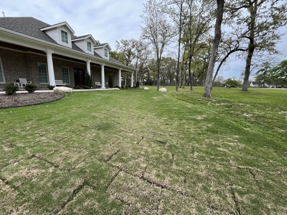 Top-rated yard cleanup service in College Station, TX - Paramount Landscape and Design