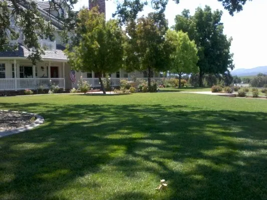 Custom residential landscaping for residential properties in Atascadero, CA by Paramount Landscape