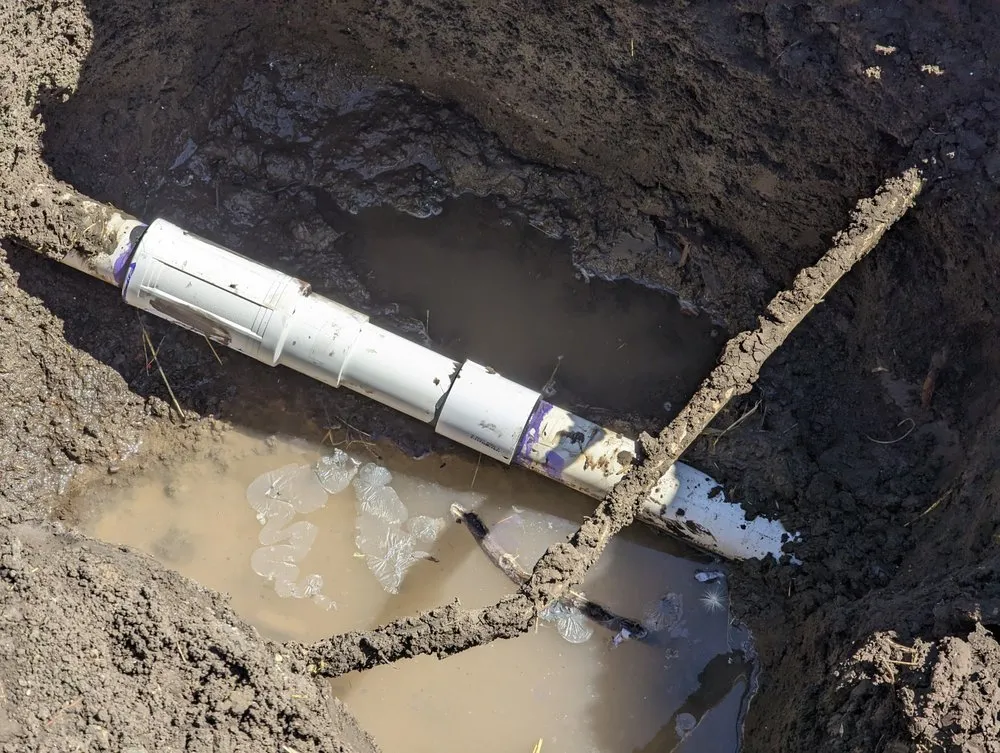 Trusted yard maintenance experts serving San Jose, CA - Paramount Landscaping