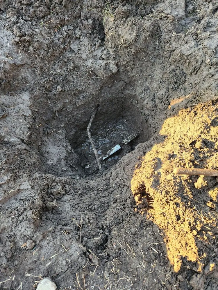 Custom yard cleanup service in San Jose, CA - Paramount Landscaping