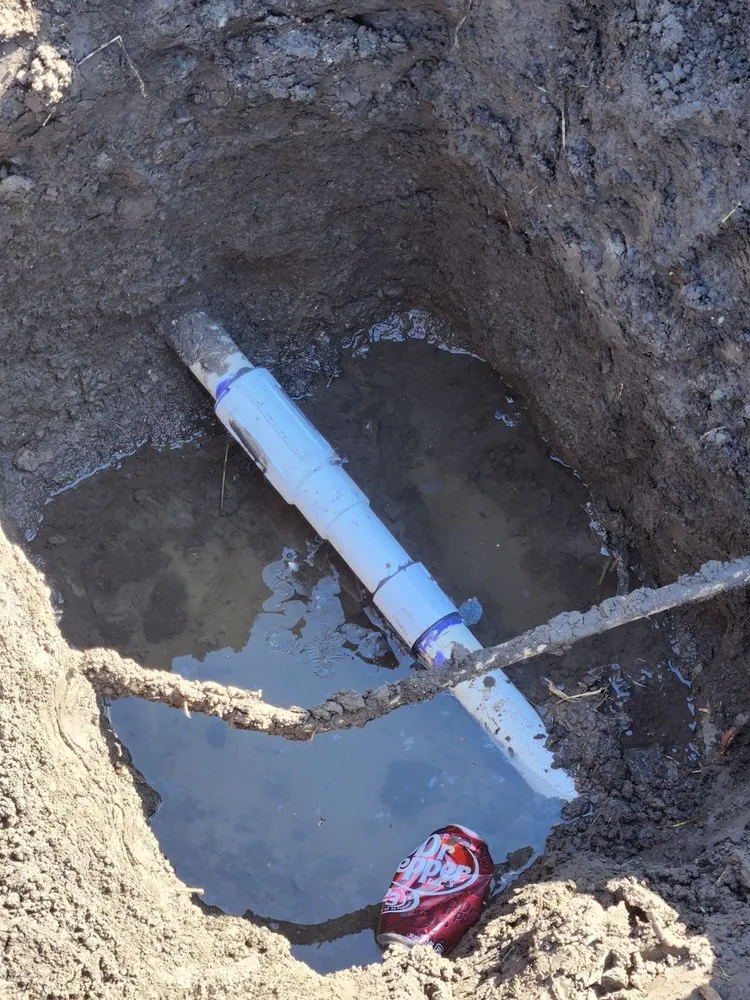 Reliable yard cleanup service in San Jose, CA - Paramount Landscaping