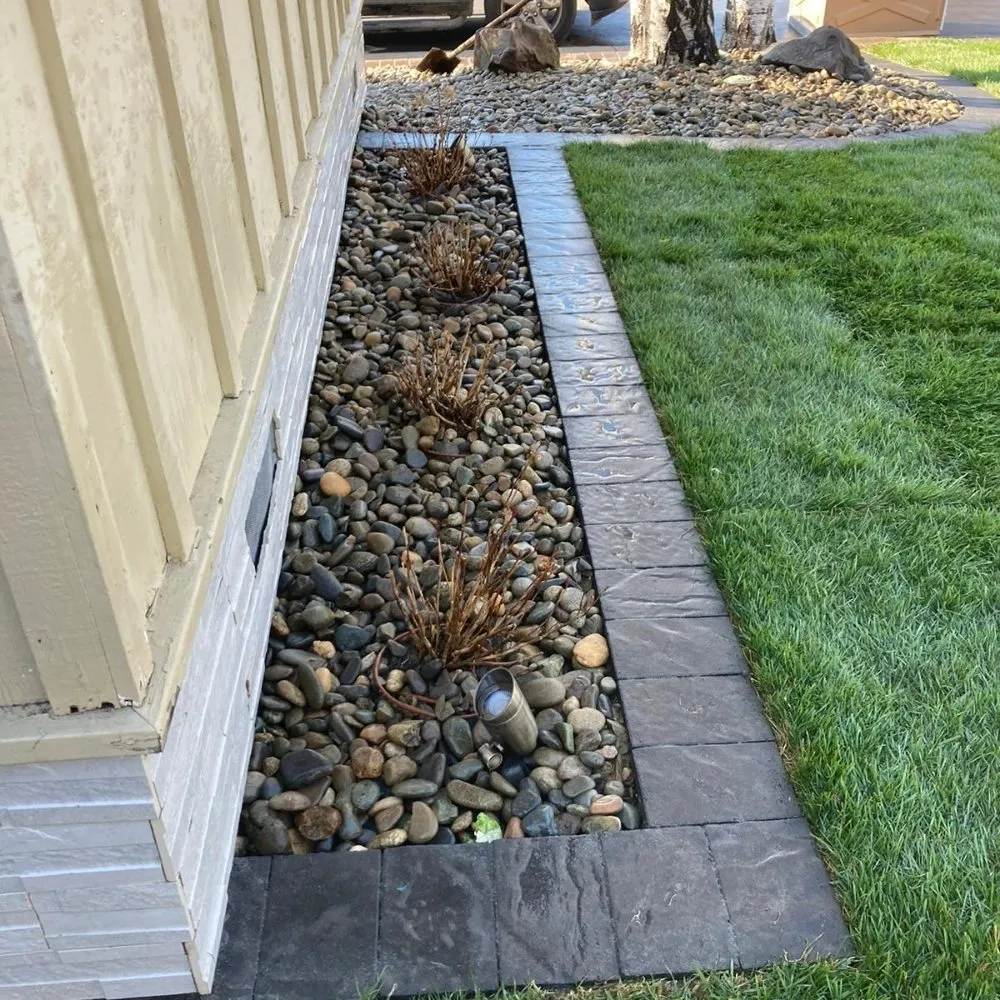 Top-rated lawn care service for homes across San Jose, CA - Paramount Landscaping