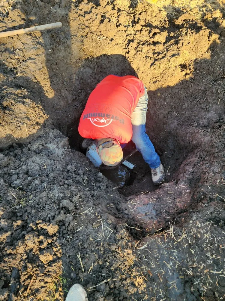 Trusted yard cleanup service experts serving San Jose, CA - Paramount Landscaping