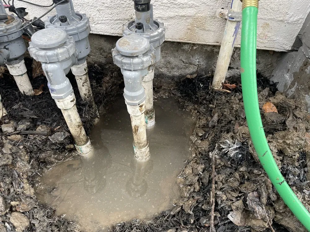 Custom landscape design in San Jose, CA - Paramount Landscaping