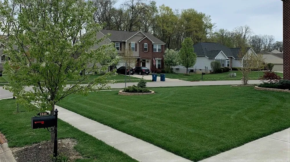 Professional yard maintenance in Loveland, OH by Paramount Lawn + Landscape