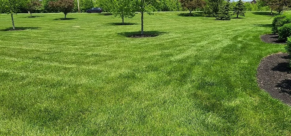Reliable yard cleanup service for outdoor upgrades in Loveland, OH by Paramount Lawn + Landscape