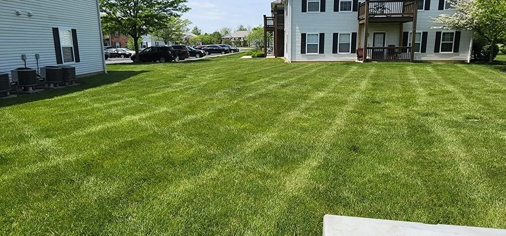 Custom lawn mowing service near you across Loveland, OH - Paramount Lawn + Landscape