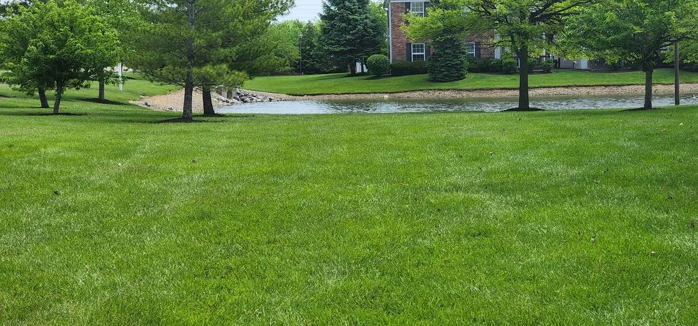Local outdoor landscaping experts serving Loveland, OH - Paramount Lawn + Landscape