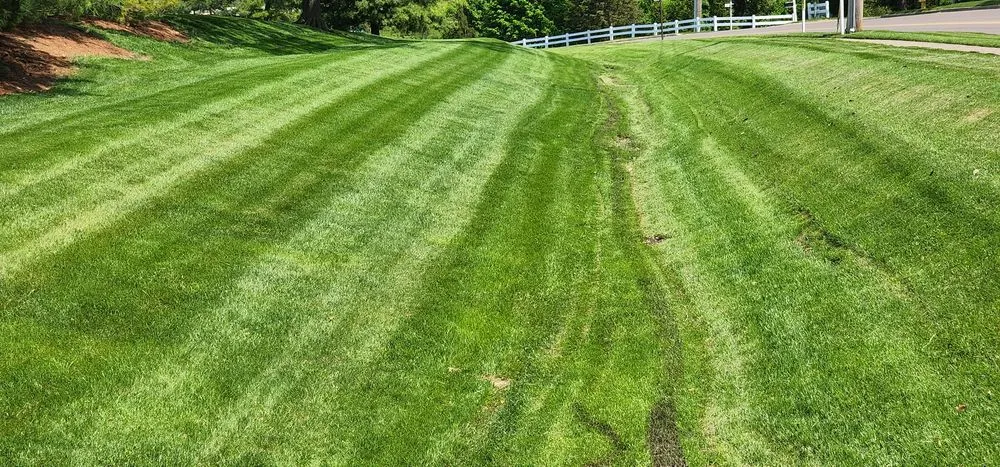 Expert lawn mowing service in Loveland, OH - Paramount Lawn + Landscape