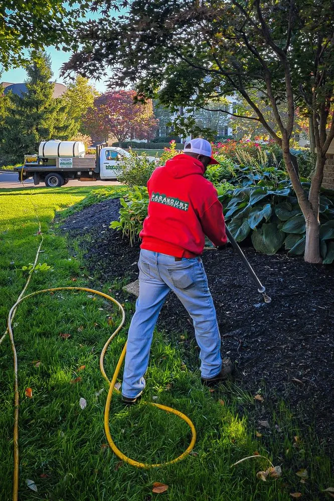Expert landscape design experts serving Loveland, OH - Paramount Lawn + Landscape