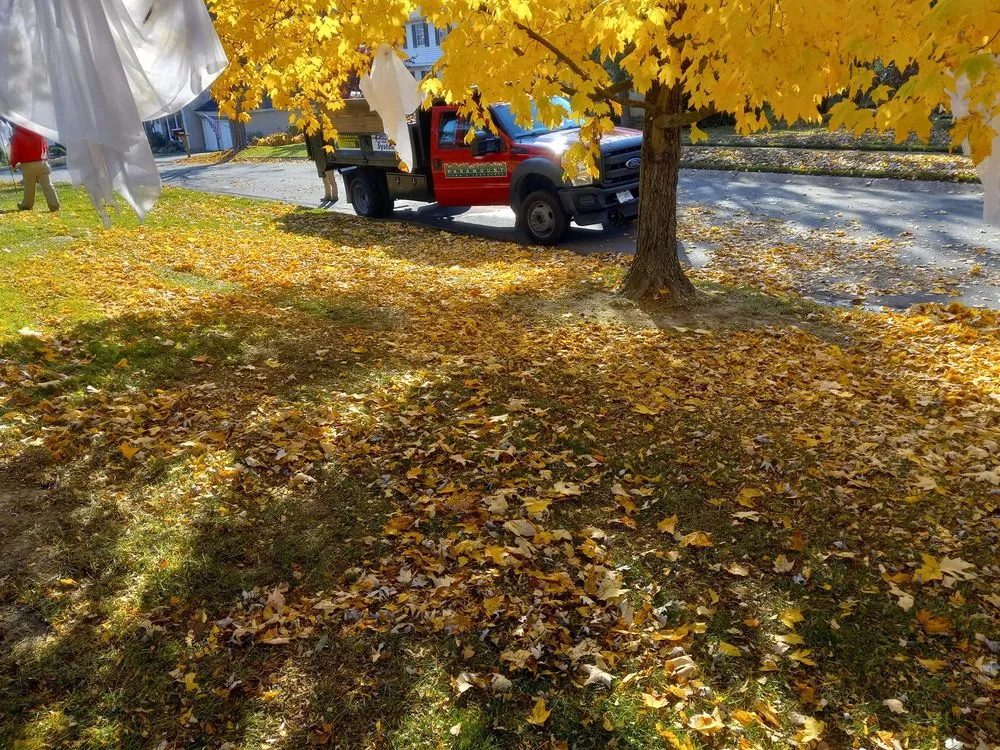 Trusted landscaping services in Loveland, OH by Paramount Lawn + Landscape