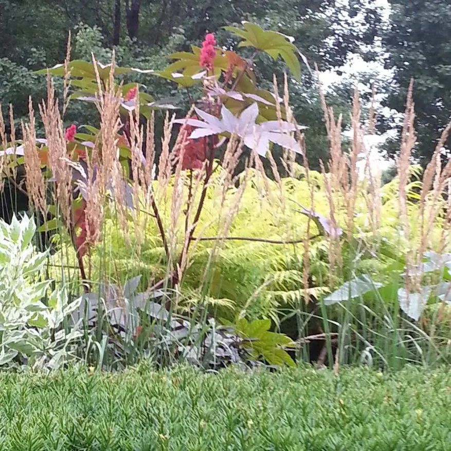 Professional lawn mowing service in Royal Oak, MI - Paramount Outdoor Maintenance