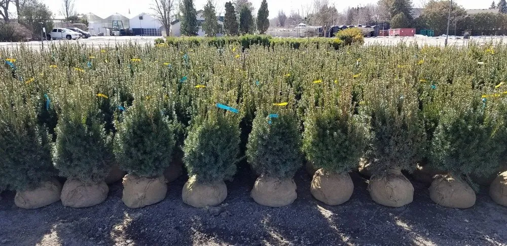 Top-rated outdoor landscaping for outdoor upgrades across Royal Oak, MI - Paramount Outdoor Maintenance