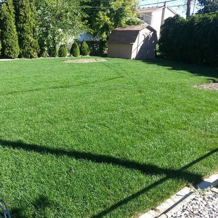 Local yard maintenance for residential properties in Royal Oak, MI by Paramount Outdoor Maintenance