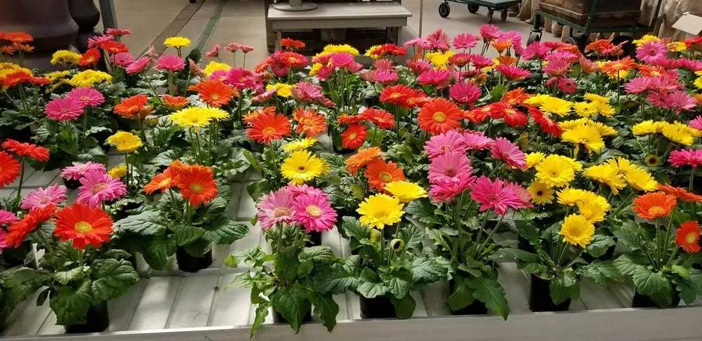 Top-rated garden landscaping in Royal Oak, MI - Paramount Outdoor Maintenance