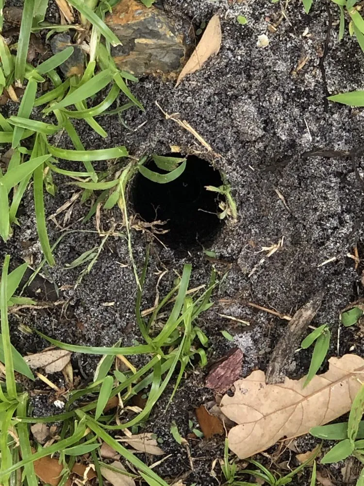 Affordable outdoor landscaping for year-round maintenance in Weston, FL by Paramount Property Services